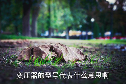 135变压器是什么意思,什么是三相（字母）干式绝缘变压器?