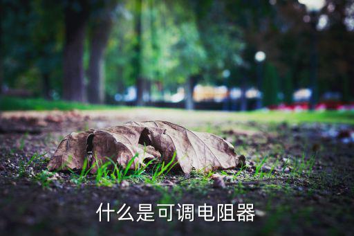 什么是可调电阻器