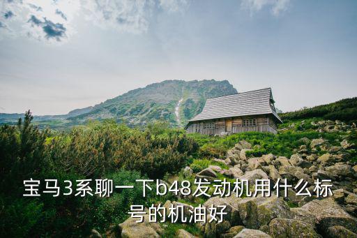 宝马3系聊一下b48发动机用什么标号的机油好