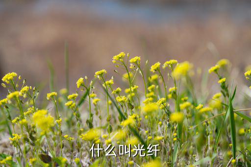 光纤电路编号是什么意思,电路板上的符号代表什么意思?