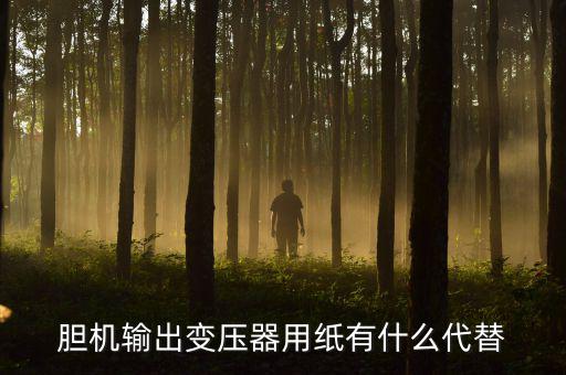 胆机输出变压器用纸有什么代替