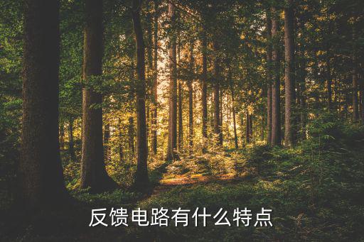 反馈电路有什么特点