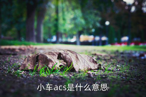 小车acs是什么意思