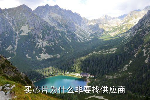 买芯片为什么非要找供应商
