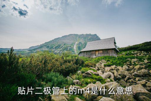wg6120nhm4是什么意思,汽车知多少（18））