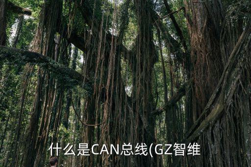 can信息总线是什么意思,什么是can总线?