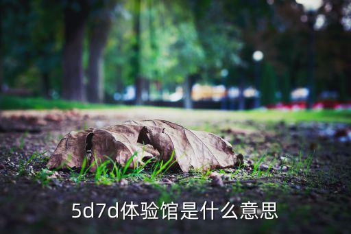 5d7d体验馆是什么意思