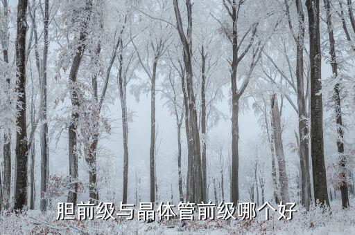 胆前级用什么管子,车载胆前级用什么电路?我理解为什么
