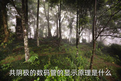 在数码管上显示什么,数码管显示的数字有那些含义?
