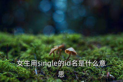 lmsingle什么意思,选出一垒安打单人选择自我介绍