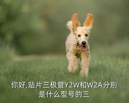 y2 是什么三极管,你好,贴片三极管是什么型号的三?