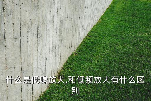 什么是低噪放大,和低频放大有什么区别