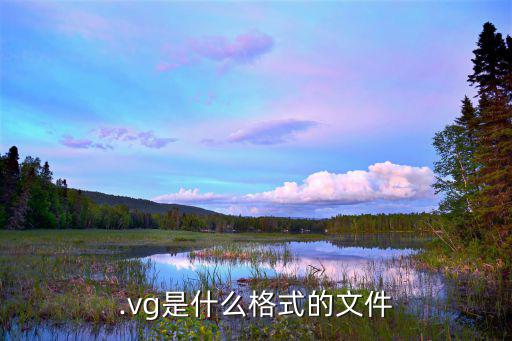 VG代表什么电子元件,锁存电路起保护漏电设备作用