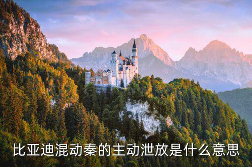 泄放电路是什么,比亚迪混动秦的主动泄放是什么意思?
