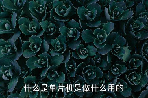 单片机干什么用,51单片机是什么有什么用?