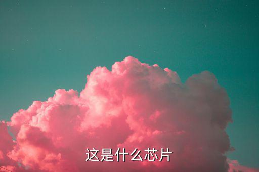 这是什么芯片