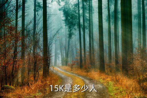 电压15k什么意思,工资15k是什么意思?
