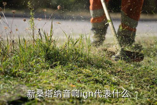 IGN开关是什么,电动控制外后视镜扬声器数量6个