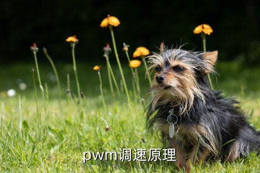 什么是pwm驱动,pwm控制原理是什么?