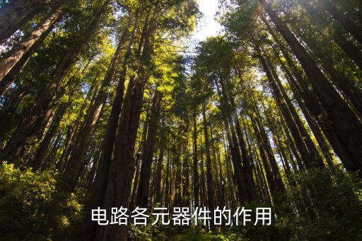 电路各元器件的作用