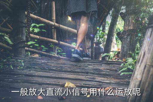 一般放大直流小信号用什么运放呢