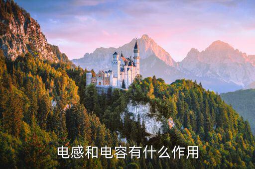 电感电容是什么,电路中的阻抗和电感是什么?