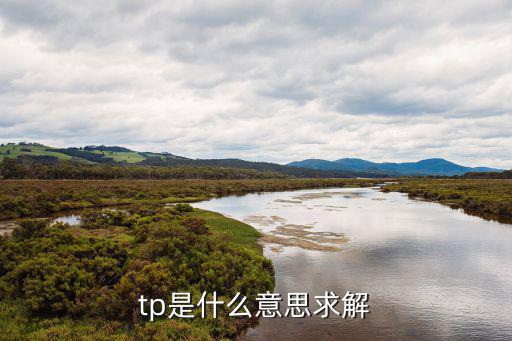 tp是什么意思求解
