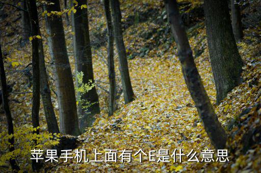 fi e什么意思,苹果手机上有个e是什么意思?