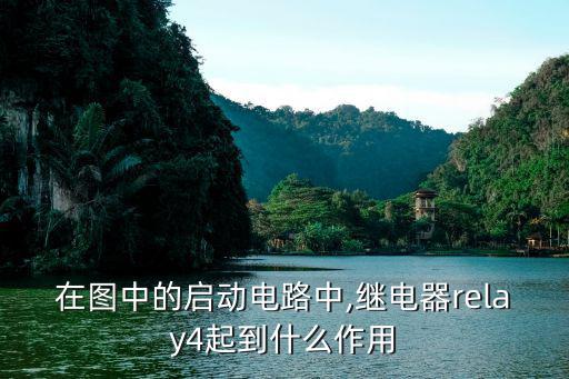 rel在电路中表示什么元件,本地电力系统有哪些重要元件?