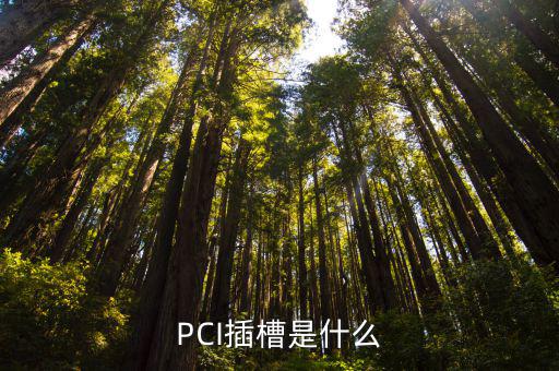 PCIDIO是什么,这些东西都是pci插槽啊!