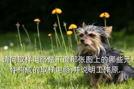 什么取样电路,tiktok系统硬件分成哪三部分