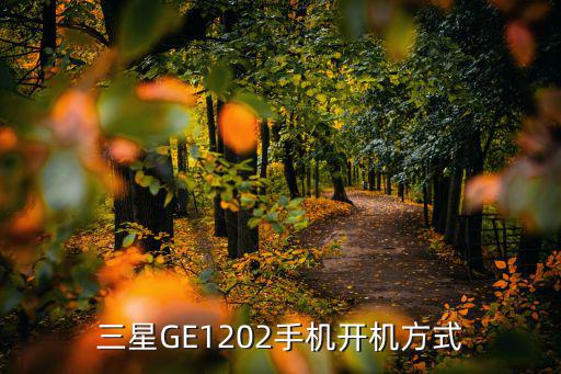 三星GE1202手机开机方式