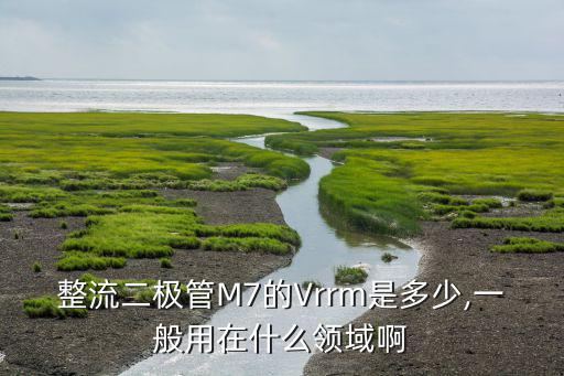 整流二极管M7的Vrrm是多少,一般用在什么领域啊