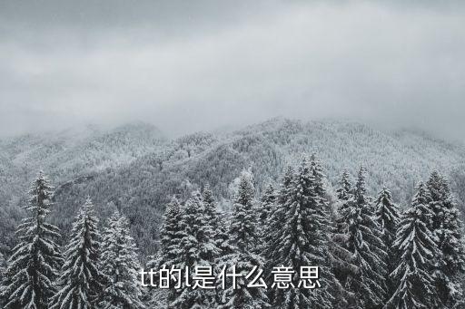 l什么tt什么r,tt语音提供最全最专业的游戏礼包