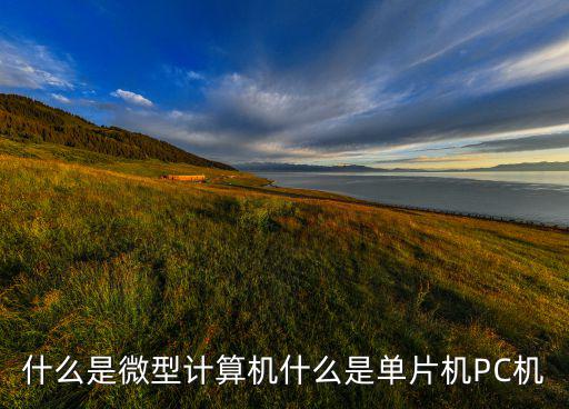 什么是微型计算机什么是单片机PC机