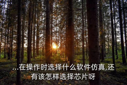 ...在操作时选择什么软件仿真,还有该怎样选择芯片呀