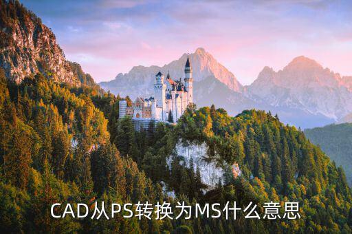 msps是什么意思,微软是一家什么意思?