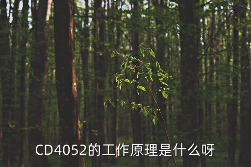 cd4522是什么,互联网cd4052怎么回事?