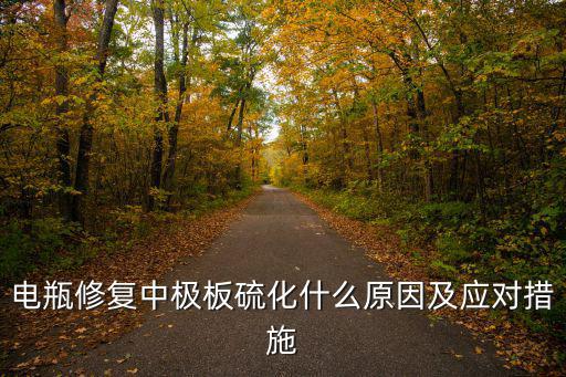 蓄电池为什么会硫化,电瓶修复中极板硫化什么原因及应对措施?