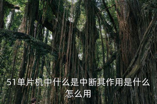 51单片机中什么是中断其作用是什么怎么用