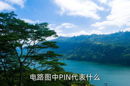 144pin中的ic是什么,电路图说明什么?看这里!
