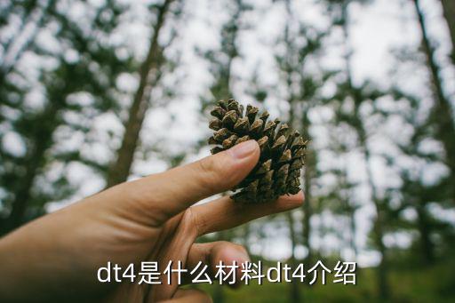 dt4是什么材料dt4介绍