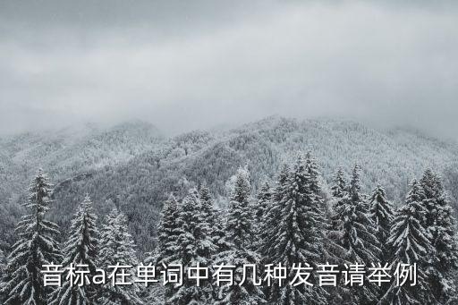 音标a在单词中有几种发音请举例