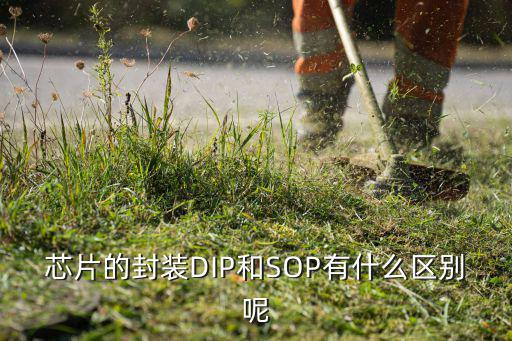 芯片的封装DIP和SOP有什么区别呢