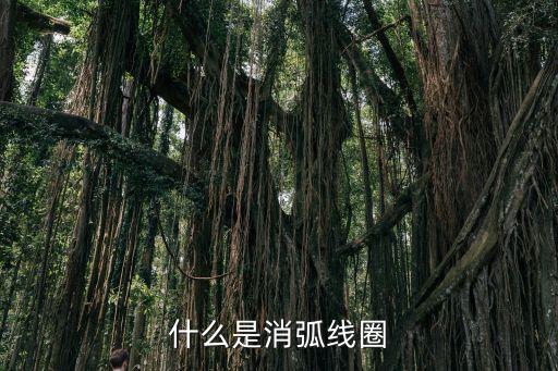 抗流线圈是什么意思,电路设计需考虑什么是消弧线圈?