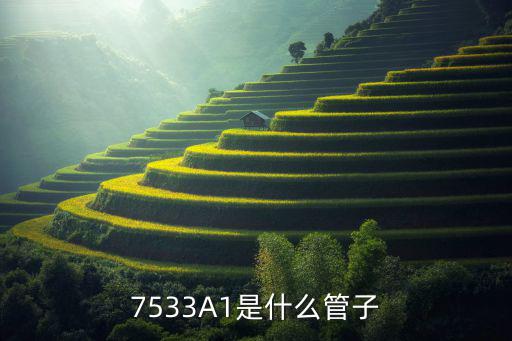 7533A1是什么管子