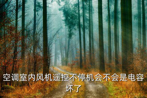 空调遥控器为什么有电容,空调遥控器没反应怎么回事?一切正常