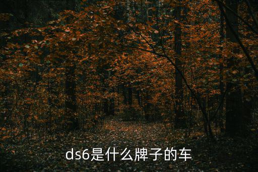 ds6是什么牌子的车