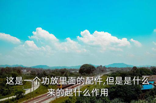 这是一个功放里面的配件,但是是什么来的起什么作用