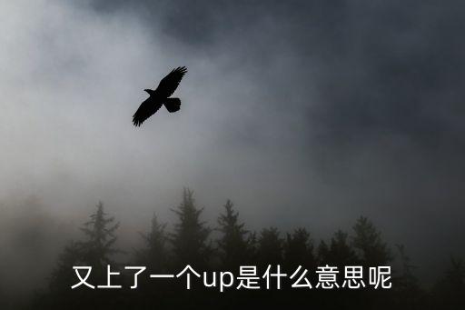 又上了一个up是什么意思呢